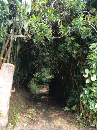 A narrow, shaded pathway, appearing as compacted earth with irregular paving stones and scattered organic debris, recedes into dense tropical vegetation in Soibada, East Timor. The path is bordered on its left by a sloping earthen bank covered with short green plants, and on its right by a dense wall of various green foliage and intertwined vines. Overhead, the vegetation forms a natural canopy, creating a tunnel-like enclosure that darkens towards the background. On the far left, a light-colored, rough-textured concrete or stone post is partially visible, featuring an orange-brown L-shaped metal bracket attached to its right side near the base. No individuals or animals are present.