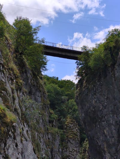 The image captures a view looking up at a bridge spanning a gorge in the Komarnica River canyon in Montenegro. The bridge, constructed of concrete and metal railings, is suspended high above, with steep, rocky cliff faces on either side. Lush green trees and vegetation cling to the sides of the cliffs and can be seen in the background. The sky above is blue with scattered white clouds, and power lines are visible running across the top of the frame. The scene is natural and rugged, highlighting the dramatic landscape of the canyon.