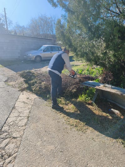 A man is cutting branches with a chainsaw on a sunny day in Negorci, North Macedonia. The man, wearing a dark vest, light shirt, and dark pants, stands on a concrete surface. To his left are cut branches and a concrete block structure next to a silver car with license plate "EA 484 VR". To his right is a large green bush, and a metal trough with grass and a plastic bottle underneath. The ground is cracked asphalt and concrete. In the background are bare trees and a blue sky.