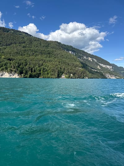 The image captures a picturesque view of Lake Thun with a densely forested mountain slope rising behind it. The water is a vibrant turquoise, with ripples and some white foam indicating movement, possibly from a boat. The mountain is covered in a thick, dark green forest that extends from the lake shore up to the rocky, exposed peaks. Patches of lighter green and bare rock are visible on the higher slopes. The sky is a brilliant blue with scattered fluffy white clouds, casting shadows on the mountain.
The scene is identifiable as being in the vicinity of Sigriswil, Switzerland, likely from a vantage point on the lake looking towards the mountains. There are no people or specific objects of interest immediately visible in the foreground water. Along the shoreline of the lake, there are hints of structures partially obscured by trees, and further in the distance, along the mountain base, a few buildings are visible, suggesting a settlement or a tourist facility. The overall impression is one of natural beauty and tranquility.