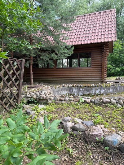 This is a vertical, medium-shot photograph taken in Novy Gorodok, Russia, on a cloudy day. The image features a rustic wooden house with a reddish-brown, corrugated roof and log walls. Multiple windows are visible on the side of the house, reflecting the surrounding trees and sky. A pine tree with green needles partially obscures the left side of the house, and lush green foliage dominates the foreground.

To the right of the house, a narrow, weathered concrete path runs alongside a retaining wall constructed of rough, grey stones. The ground alongside the path is covered in soil, scattered leaves, and patches of low-lying green vegetation. Some of the stones in the wall and along the ground are large and rounded, with one larger stone near the top right marked with a blue symbol or number.

In the foreground, a wooden lattice fence with a diamond pattern is visible, suggesting a garden or yard area. A fallen log rests horizontally against the lower portion of the wooden house, near the fence. The overall scene conveys a sense of a natural, somewhat overgrown outdoor setting, possibly a rural or suburban dwelling. No people are visible in the image, and there is no visible text. The lighting suggests it is daytime, but the overcast sky prevents harsh shadows.