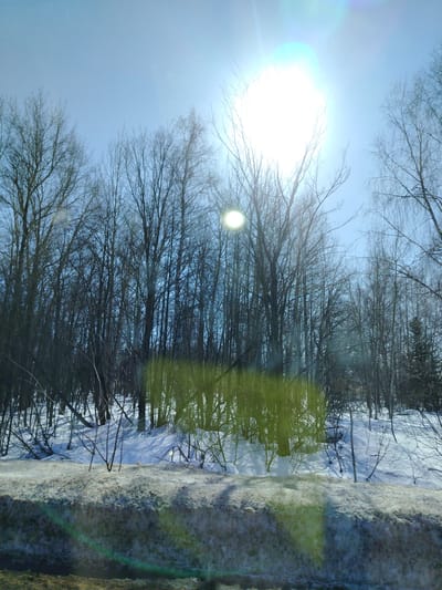 The image depicts a winter landscape in Novyi Shagirt, Russia, viewed from a slightly elevated position, likely from a vehicle or roadside. The scene is dominated by a clear, bright blue sky in the upper half. The sun is a prominent, intense light source in the upper right quadrant, creating significant lens flare effects across the frame. Below the sky, a dense line of leafless deciduous trees forms a forest or wooded area, stretching horizontally across the mid-ground. The trees exhibit bare, intricate branch structures against the lighter sky. The ground beneath the trees is covered in white snow, with some darker shadows cast by the trees. In the foreground, a substantial snowbank, appearing somewhat dirty or textured with debris, occupies the lower portion of the image, separating the viewer's perspective from the deeper snow-covered forest floor. No people, animals, or artificial structures are visible within the frame.