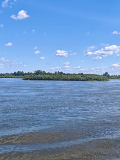 The image depicts a wide river with a lush green island in the middle ground. The water has a slightly choppy surface, reflecting the bright blue sky and scattered white clouds above. The island is densely covered with trees and vegetation, forming a continuous line along the horizon. The background shows more trees and greenery, suggesting a natural, undeveloped landscape. There are no people or man-made structures visible in the scene. The scene is calm and serene, capturing a moment of natural beauty.