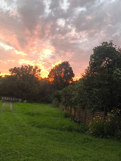 This is a photograph of a sunset over a rural landscape. The sky is filled with dramatic clouds, illuminated by the setting sun in shades of orange, pink, and yellow. In the foreground, there is a lush green grassy field. To the left, a dirt path leads towards a fence and a gate. Trees are visible in the middle ground, with some of them silhouetted against the bright sky, and others are in full leaf. A wooden fence runs along the right side of the image, partially obscured by vegetation. Small yellow flowers are blooming near the fence. The overall impression is one of peaceful, natural beauty.