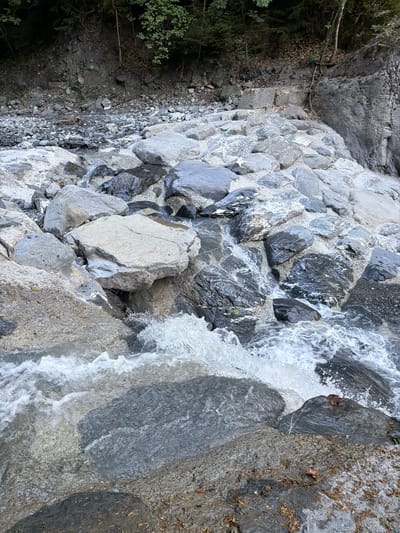 The image depicts a rocky riverbed in Evionnaz, Switzerland, characterized by a multitude of large, grey, and dark-colored stones of varying shapes and sizes. Water flows through and over these rocks, creating small cascades and ripples, particularly in the foreground. The riverbed is composed of a mix of larger stones and smaller gravel. The surrounding environment shows a steep, rocky bank with sparse vegetation, including trees and fallen leaves, indicating a natural, possibly mountainous or forested area. The lighting suggests it is daytime, with shadows cast by the rocks and vegetation. There are no people or animals visible in the image. The scene is a depiction of a natural watercourse within a rocky terrain.
