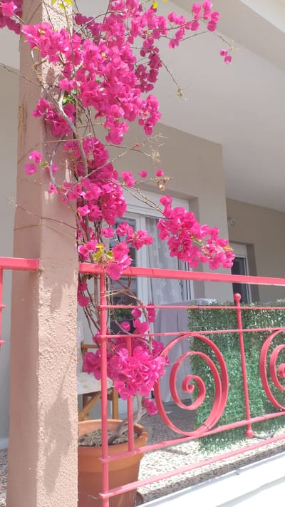 The image captures a close-up view of vibrant pink bougainvillea flowers cascading down a textured, light brown pillar on a balcony in Nea Michaniona, Greece. The flowers are in full bloom, with clusters of bright pink bracts and delicate green leaves. A rusty red railing with decorative spiral elements runs across the foreground, partially obscuring a potted bougainvillea plant and a glimpse of a white-curtained window behind it. In the background, a light-colored building facade is visible under a bright, sunny sky, suggesting a warm climate. The ground of the balcony appears to be paved with small stones.