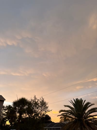 The image shows a sky filled with soft, undulating clouds during either sunrise or sunset, casting a warm, peachy glow. The sky transitions from a pale blue at the top to warmer tones towards the horizon. Silhouetted against this sky are the tops of palm trees and other foliage, as well as the edge of a residential building on the left. Power lines stretch horizontally across the middle ground. The scene appears to be from a residential area, likely in the city of South Venice, Florida, given the presence of palm trees and the warm, tropical-like sky. There are no people or discernible actions taking place.