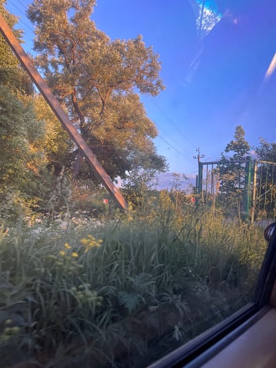A weathered wooden pole leans diagonally across the frame from the lower left towards the upper right, silhouetted against a clear blue sky and dense foliage. Power lines are strung between the pole and a utility pole further in the background, which supports insulators. To the right, a green metal gate with vertical bars and a mesh infill stands partially obscured by tall grass and wildflowers. Beyond the gate, more trees and vegetation are visible. The scene appears to be an outdoor setting, possibly in a rural area or on the outskirts of a settlement, given the presence of utility infrastructure and natural growth. The lighting suggests it is either early morning or late afternoon, with warm sunlight illuminating the trees and grass. The lower right corner of the image shows a reflection on a glass surface, possibly a car window. There are no people or animals visible. The location is identified as Зарница Снт, Russia.