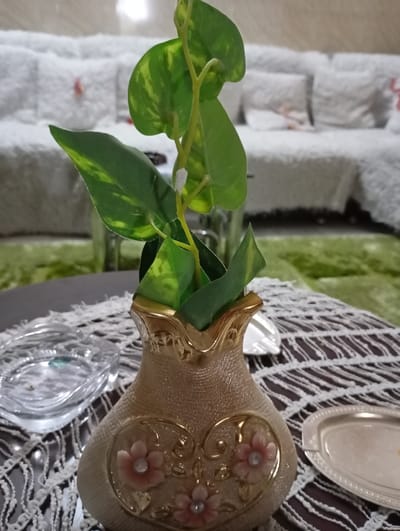 A decorative vase with floral accents and golden trim holds a leafy green plant. The vase sits on a table covered with a woven, textured tablecloth. A clear glass ashtray is to the left of the vase and a small metal tray is to the right. Behind the arrangement is a green rug and a white, cushioned sofa with throw pillows. The overall composition conveys a cozy and decorated interior space.