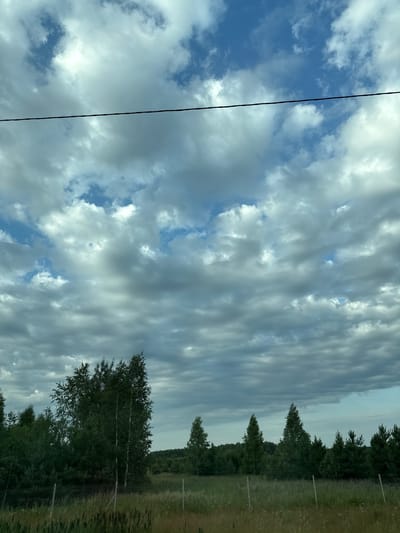 The image depicts a wide landscape under a cloudy sky, likely captured in Glebovo, Russia. A dark, thin wire runs horizontally across the upper portion of the frame, bisecting the view of the sky. The sky itself is a mix of blue patches and dense, gray clouds, with some areas of brighter illumination suggesting breaks in the cloud cover.
In the lower half of the image, a line of trees forms a dark green border along the horizon. The trees are varied in type and density, with a cluster of taller, slender trees, possibly birch, with white trunks standing out in the center-left. Beyond this initial tree line, the landscape continues with more trees and vegetation, forming a dense forest in the distance.
In the foreground, a grassy field with tall, dry grasses and some wildflowers stretches across the bottom of the frame. A simple wire fence with metal posts is visible, dividing the field and suggesting a boundary or enclosure. The overall impression is of a rural, natural environment with signs of human presence in the form of the wire and fence. No people or animals are visible in the scene.