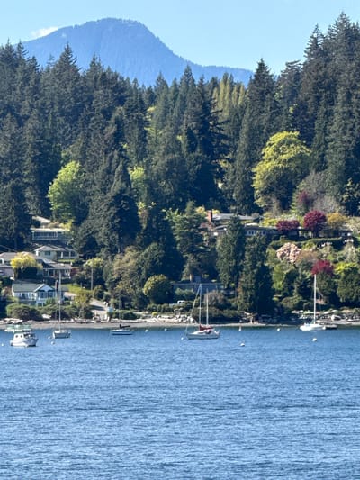 The image depicts a shoreline scene in Bowen Island Municipality, Canada, with a body of water occupying the right side of the frame. Along the shoreline, a row of houses interspersed with trees and vegetation can be seen. Several boats are docked along the shore. In the background, a forested hillside rises to the left. The sky is clear and blue.