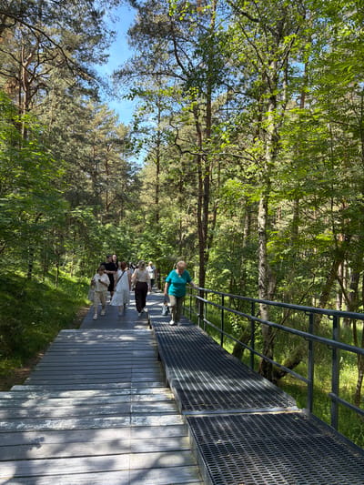 A group of people are walking along a wooden boardwalk in a forest. The boardwalk is elevated and has a metal railing on one side. The forest is dense with tall trees and lush green foliage. Sunlight filters through the leaves, creating dappled shadows on the boardwalk. The sky is a clear blue. The people appear to be casually strolling and enjoying the scenery. The scene suggests a warm, pleasant day, likely in the late spring or summer. The overall atmosphere is peaceful and relaxed, as people take in the natural beauty of the forest.