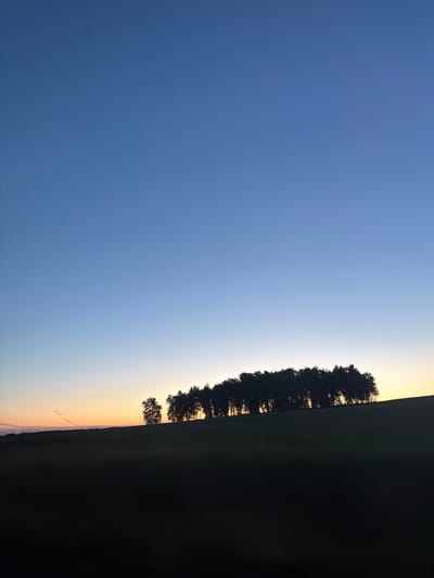 The image shows a silhouette of a treeline on a grassy hill against a twilight sky. The sky transitions from a deep blue at the top to a pale orange near the horizon. The treeline, which appears to be a mix of deciduous trees, is dark against the brighter sky. The foreground is a dark, unlit expanse of land. There are no people or animals visible. The location is specified as Шуваево, Russia.