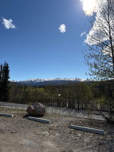 A panoramic landscape shot depicts a mountainous scene under a clear blue sky. The image is bathed in bright daylight, with the sun partially visible in the upper left corner, casting a brilliant flare through scattered white clouds and the delicate, budding branches of an overhead tree. Several puffy white clouds dot the vast expanse of blue sky.

A prominent range of snow-capped mountains stretches horizontally across the middle ground, their peaks gleaming white against the azure backdrop, suggesting a high-altitude or northern climate in spring. Below the mountains, a dense line of trees and bushes with fresh, vibrant green leaves indicates the season.

The foreground features a rough, gravelly terrain, possibly an unpaved road or parking area. Two concrete parking barriers (wheel stops) are embedded in the gravel, oriented towards the viewer. A large, textured rock rests on the gravel near the closer barrier. To the lower right, the dark silhouette of a coniferous tree partially frames the view. A darker, paved or packed dirt path runs along the edge of the treeline.

The scene conveys a sense of natural grandeur and peacefulness. There are no people or visible text. The combination of snow-dusted mountains, clear sky, and new spring foliage is characteristic of a location like Denali National Park.