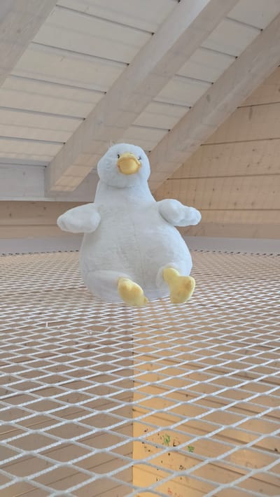 A plush toy penguin with white, fluffy fur and yellow feet and beak is the main subject of this image. The penguin is positioned upside down, with its body angled towards the viewer. It appears to be suspended or placed within a net structure. The background consists of light-colored wooden planks, suggesting an indoor environment like a ceiling or attic space. The wooden beams of the ceiling are visible, running diagonally across the upper left portion of the image. Behind the net and the penguin, more wooden panels create a textured backdrop. Scattered on the wooden surface in the background are faint splashes of color, possibly paint, adding a subtle artistic or playful element to the scene. The lighting is soft and even, with no harsh shadows, suggesting daylight or well-lit indoor conditions. The overall mood is whimsical and perhaps a bit surreal due to the upside-down placement of the toy. There is no visible text in the image.