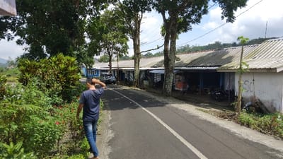 This image depicts a tranquil rural or semi-rural street scene in Panjalu, Indonesia, under bright daylight with a partly cloudy sky.
The primary subject is a man, seen from behind, wearing a dark blue t-shirt and blue jeans. He is walking away from the camera on the left side of a paved road, with his right hand raised to his head, possibly adjusting his hair or scratching it.
The scene features a two-lane asphalt road with a solid white dividing line down its center. On the left side of the road, there is abundant green vegetation, including dense bushes with small red flowers and tall trees, which partially obscure a view of distant mountains in the background.
On the right side of the road, a row of single-story buildings, likely shops or homes, stretches into the distance. These structures have simple facades and corrugated metal roofs. Several tall, slender trees with light-colored bark stand between the road and these buildings, casting shadows. In front of some buildings, there are small, open-fronted stalls or shop areas, with various items and a few motorcycles visible. A dark blue SUV is parked further down the road near one of the buildings on the left.
Notable details include the lush tropical vegetation, the simple architecture of the buildings, and the bright, clear weather suggesting midday or early afternoon. On the white wall of the closest building on the right, the letters "SD" are visible as graffiti. The overall activity is a person walking through a peaceful village or town setting.
