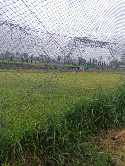 A soccer field viewed through a weathered net. Players are scattered across the field, their figures somewhat obscured. The background consists of a cloudy sky and trees on a raised landscape. Foreground features tall grass and vegetation. The net's imperfections, combined with the overgrown vegetation, creates a sense of casual neglect around the scene.