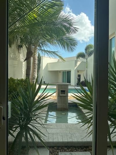 The image displays an outdoor residential courtyard or patio in McAllen, United States of America, viewed from an interior perspective through a light-colored door or window frame. The environment is illuminated by natural daylight under a blue sky featuring scattered white cumulus clouds.
The immediate foreground contains a rectangular, tiled water basin with a central pedestal fountain, situated on a bed of small, light-colored river stones and bordered by pale paving. Two prominent, spiky-leafed plants (genus Yucca or similar) frame the view on the left and right.
Beyond this, a turquoise swimming pool is visible. The background comprises modern, flat-roofed buildings with light-colored stucco exteriors. One building section includes a recessed area with a glass sliding door. Multiple palm trees are present: a mature palm with a broad trunk and dense fronds is on the left, another slender palm is adjacent, and a third palm tree stands on the right, positioned behind the buildings. Green shrubbery and dense foliage are present around the building bases and pool perimeter. No individuals, actions, or interactions are observable.