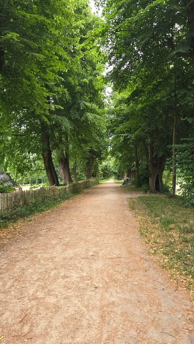 The image depicts a wide, unpaved pathway in a park-like setting, likely in 's-Heerenberg, Netherlands. The pathway is made of light brown gravel and runs through a tree-lined avenue. On the left side of the path, a rustic wooden fence made of sharpened stakes separates the path from a grassy area with some trees. On the right side, the path is bordered by grass and more mature trees with thick trunks, one of which has a large hollow. Further down the path, a couple of benches and what appear to be two individuals are visible, one person appears to be sitting on a bench with a bicycle next to them. The trees overhead form a dense canopy of green leaves, dappling the path with sunlight and shadow. The overall impression is one of a serene, natural environment within a developed area.