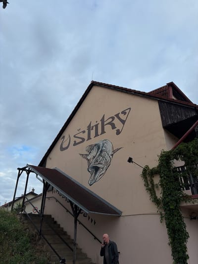 The image shows the side of a building with a large mural of a fish and the word "UŠTIKY" painted on its beige facade. A set of outdoor concrete stairs with black metal railings leads up to an entrance on the side of the building. A man in a dark jacket and grey shirt is walking up the stairs and talking on his phone. Green ivy covers a portion of the building to the right of the mural. The sky is overcast. The building is located in Beroun, Czechia.