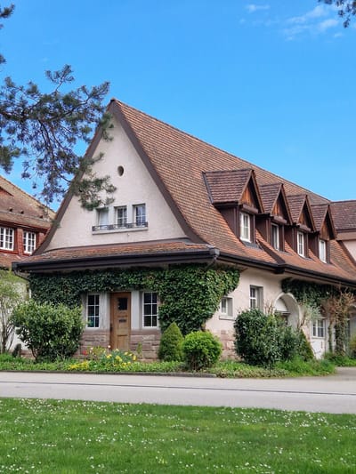 The image shows a building in Rheinfelden, Switzerland. The building has a steeply pitched, brown tiled roof with several dormer windows. The facade is light colored, with ivy growing along the exterior walls. There are windows on multiple levels, some of which have decorative ironwork. A tree is visible in front of the building on the left. A paved walkway runs along the right side of the building, bordered by grass. The sky is blue.