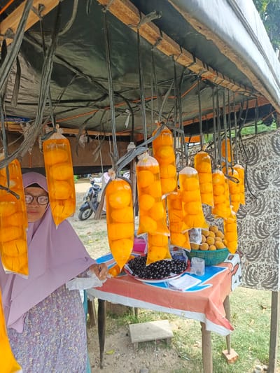A woman in a light purple hijab and a floral dress stands behind a table at an outdoor market stall in Sawang, Indonesia. She is wearing glasses and looking towards the viewer. The stall is covered by a dark tarp supported by wooden beams and black ropes. Hanging from the ropes are numerous clear plastic bags filled with bright orange fruit, likely mangoes, which are suspended vertically. Several bags contain whole fruits, while others appear to hold sliced fruit. To the right of the woman, on the table, are two bowls. One contains a pile of dark, round fruits, possibly grapes or olives, and the other holds smaller, lighter-colored fruits in a green basket. A small plastic cup and some crumpled white paper are also on the table. The background shows a dirt path, green grass, and a motorcycle parked behind the stall. A patterned textile is draped on the right side of the stall.