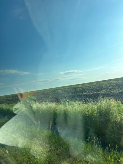 The image shows a view from inside a vehicle, likely a car. The scene appears to be in a rural area, possibly near Zetiovo, Bulgaria. The left portion of the image reveals a clear, blue sky with some wispy clouds. A field of dark soil stretches horizontally across the middle of the image, showing signs of young plants beginning to grow. A border of tall, green grass and vegetation runs along the right edge of the image, adjacent to the field. Reflections are visible on the glass, obscuring the view. The reflections suggest a passenger in the vehicle, possibly a person’s face and hand.