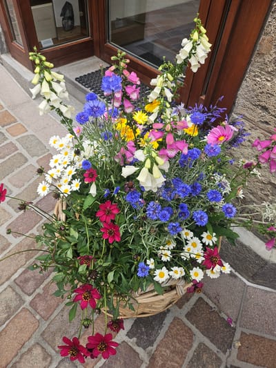 The image depicts a woven basket overflowing with a vibrant arrangement of wildflowers. The flowers are a mix of colors including white, pink, yellow, blue, and deep red. Specifically, visible are foxgloves, cornflowers, daisies, and what appear to be dahlias or cosmos. The basket sits on a cobblestone pathway in front of a wooden door with glass panels. The door is flanked by a textured stone wall on the right. In the background, visible through the glass door, is an interior space with what looks like display shelves. The setting is outdoors, suggesting it might be an entrance to a shop or establishment in St. Moritz, Switzerland. No people are present in the image. The lighting suggests it is daytime.