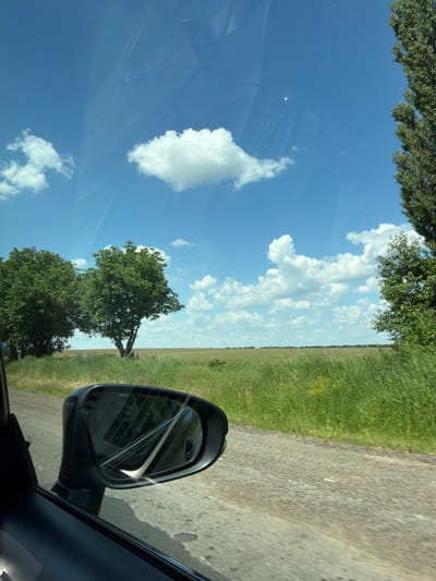 The image shows a view from a car window, looking out at a rural landscape. In the foreground, a car's side mirror is visible on the left. Beyond the car door and mirror, a gravel road runs alongside a field of tall green grass and some yellow wildflowers. Two trees with full green canopies are situated in the middle ground, with a flat, cultivated field stretching to the horizon. The sky is a clear blue with scattered white cumulus clouds. To the far right, a tall, slender tree with dark green foliage is visible. The scene is consistent with a country road in Edineț, Moldova, during the daytime, likely in the summer due to the lush greenery. There are no people visible in the image.
