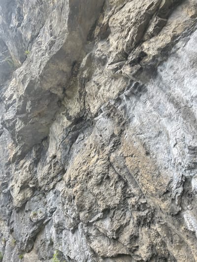 This media file is a close-up, eye-level shot of a rough, textured rock face. The rock is primarily gray with variations in shade, featuring lighter, almost white patches interspersed with darker gray and brown hues. The surface is uneven, with numerous cracks, ridges, and indentations, suggesting a weathered or eroded natural formation. Some areas show layered patterns, while others appear more fractured and irregular.

The lighting suggests it is daytime, with some shadows indicating the direction of the light source, though the exact time of day is not clear. The overall scene is devoid of people or man-made objects, focusing solely on the geological features of the rock. There are no visible text elements in the image.

The image does not depict a specific activity or event. It is a still, static view of the rock face itself. The location context of Prijepolje Municipality, Serbia, indicates this is a natural landscape feature, possibly a cliff, canyon wall, or mountain side. The texture and color of the rock might suggest it's a type of sedimentary or metamorphic rock, common in such geographical areas. The presence of a few sparse green plants or mosses in some crevices provides a subtle hint of life in an otherwise stark environment. The image conveys a sense of ruggedness and natural beauty.