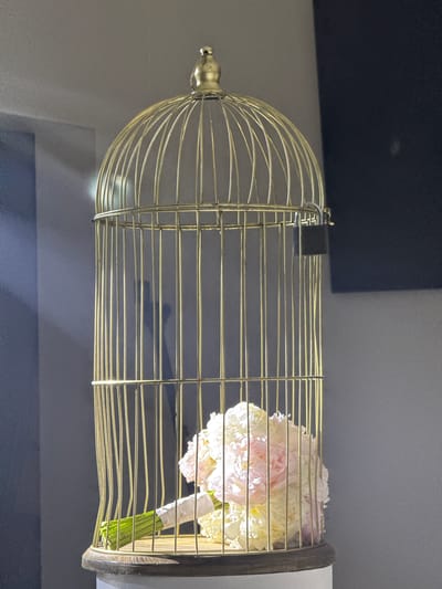 A close-up, waist-level shot captures a golden birdcage on a wooden pedestal, its dome-shaped top adorned with a small finial. A black padlock secures the cage door, its shackle visible. Inside, a bouquet of light pink and white peonies rests, their stems wrapped in white fabric and tied with green ribbon. The background consists of a gray wall, with soft light creating shadows on the left and a dark, shadowy area on the right. The scene is indoors, with no indication of the city of Raguviškiai, Lithuania.