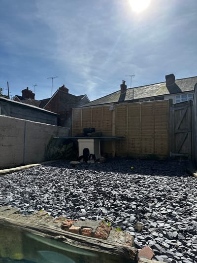 The image depicts a residential backyard in Dorchester, United Kingdom, under a bright, clear sky. The foreground features a weathered wooden beam positioned over exposed red brickwork. The ground throughout the visible garden area is covered in dark grey slate chippings.
In the mid-ground, a white dog kennel with a dark flat roof is situated towards the left. Two dogs are resting adjacent to the kennel: a black and white dog, resembling a Border Collie, lies partially within the kennel's entrance, while a smaller, lighter-colored dog rests beside it on the slate. A small yellow ball is visible on the slate chippings to the right of the kennel area.
The perimeter of the garden is defined by a tall, light brown wooden fence constructed from vertical planks at the back, extending to a wooden gate on the far right. To the left, a grey concrete block wall forms another boundary. Beyond these boundaries, several residential rooftops with dark tiles, red brick chimneys, and television aerials are visible. The sky above is light blue with scattered faint cirrus clouds, and a bright sun, positioned in the upper right quadrant, casts strong shadows, indicating daytime.