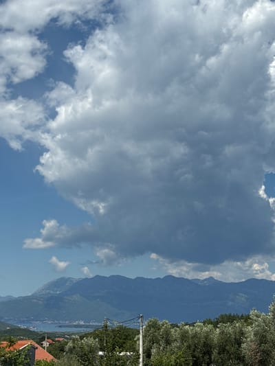 An overcast sky dominates the upper portion of the image, filled with large, dark grey clouds interspersed with patches of lighter, cumulus clouds and glimpses of blue sky. Below the clouds, a range of hazy, blue-toned mountains stretches across the horizon. In the foreground, a dense line of lush green trees and foliage, appearing to be olive trees, forms a natural border. The tops of red-tiled roofs of buildings are visible peeking through the trees, suggesting a settlement nestled amongst the greenery. A body of water, possibly a bay or inlet, is visible in the middle ground, reflecting the muted light of the sky. The overall scene depicts a landscape with a mix of natural elements and human habitation in a coastal or mountainous region. The location is identified as Pelinovo, Montenegro.