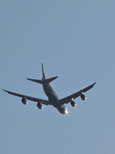 An aerial photograph shows a dark-colored airplane flying against a clear blue sky. The airplane is viewed from below and behind, with its wings spread wide and its four engines clearly visible. The tail section of the plane, with its horizontal and vertical stabilizers, is prominent. The image is devoid of any visible ground features or urban elements, making it impossible to determine a specific location within Bischofsheim, Germany, or any other city. The lighting suggests it is daytime, with sunlight illuminating the underside of the aircraft and its engines.