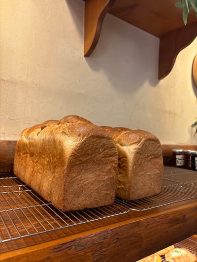 Two loaves of bread are displayed on a wire rack in a wooden frame. The bread appears to be freshly baked, with a golden brown crust. The wire rack is attached to a wooden shelf that is part of a larger structure, possibly a counter or a display case. The loaves of bread are positioned vertically, with the bottom loaf resting on the wire rack and the top loaf resting on the bottom loaf. The background consists of a textured, beige wall with a wooden shelf that extends out of the frame. The location is Arakawa City, Japan, at the coordinates 35.728 latitude and 139.766 longitude.  There are no people or other objects in the scene.