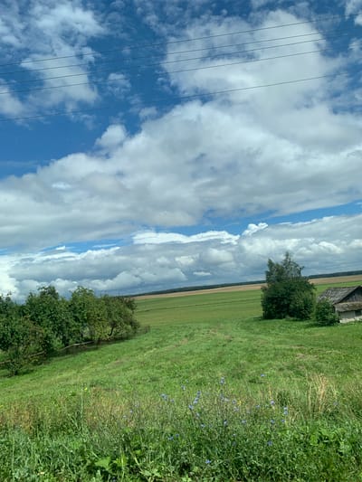 The image captures a rural landscape under a partly cloudy sky, likely in or around Цімкавіцкі сельскі Савет, Belarus. In the foreground, a grassy slope is dotted with wildflowers, including blue chicory. Further up the slope, a cluster of mature apple trees stands behind a low fence. Beyond this, a vast green field stretches towards the horizon, bordered by a darker strip of forest. To the right of the field, a small, dilapidated wooden building with a weathered roof is visible, partially obscured by a dense green tree. Overhead, thin black power lines traverse the frame against the backdrop of a dynamic sky filled with both blue patches and voluminous white clouds. No people are present in the scene.