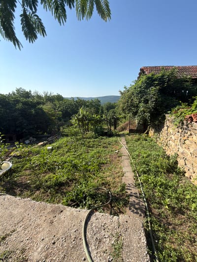 The image depicts an outdoor scene in Gorno Pavlikene, Bulgaria. The foreground features a rough, gravelly concrete path. To the left, a white, claw-footed bathtub is partially visible. A green garden hose snakes across the concrete and into the overgrown yard. The yard itself is a mix of patchy grass, weeds, and small trees. A stone pathway, made of square pavers, leads away from the foreground into the yard.
A weathered stone wall runs along the right side of the image, partially obscured by thick green ivy. Beyond the wall, a portion of a building with a red tile roof is visible, also covered in foliage. In the middle ground, the yard becomes more densely vegetated with larger trees and what appears to be a makeshift wooden structure or trellis. A rusty metal gate is visible in the distance, leading to further vegetation.
In the background, rolling hills covered in trees stretch towards the horizon under a clear blue sky. The overall impression is of a somewhat neglected, rural property with abundant natural growth. There are no people visible in the image. Two dogs, one light-colored and lying down, and another darker one standing, are visible in the mid-ground near a doghouse.