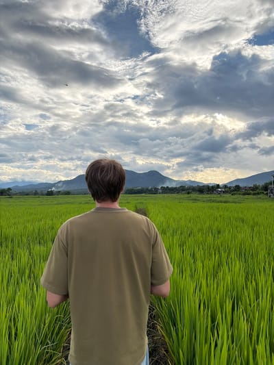 An individual, seen from behind and facing away from the camera, stands in a lush green rice paddy field. The person is wearing a short-sleeved, olive-green t-shirt. The rice field stretches out, a vibrant sea of green stalks. In the distance, a range of mountains can be seen, their peaks partially obscured by clouds. The sky is dramatic, filled with a mix of dark and light clouds, with rays of sunlight breaking through in places. A single dragonfly is visible in flight in the upper portion of the sky. The scene appears to be in or near the city of Ban Pong, Thailand, given the typical landscape of rice paddies and mountains found in the region.