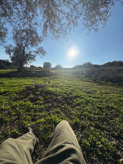The image presents a ground-level perspective from a seated or reclined individual located in the Menashe Regional Council, Israel. In the foreground, the individual's olive-green pant-clad legs are extended, with a dark left shoe visible. The immediate ground consists of patchy green grass and exposed dark soil, intermingled with scattered small rocks. The mid-ground and background reveal a gently sloping, open landscape characterized by vibrant green ground cover and several trees. A prominent olive tree stands on the left side of the frame, with its canopy visible. The upper portion of the image is partially framed by the bare branches of another tree. The sky is clear blue, featuring a bright, star-like sun radiating strong light in the upper right quadrant, indicating daytime. Distant vegetation and a small, light-colored structure or container are discernible on a distant rise.