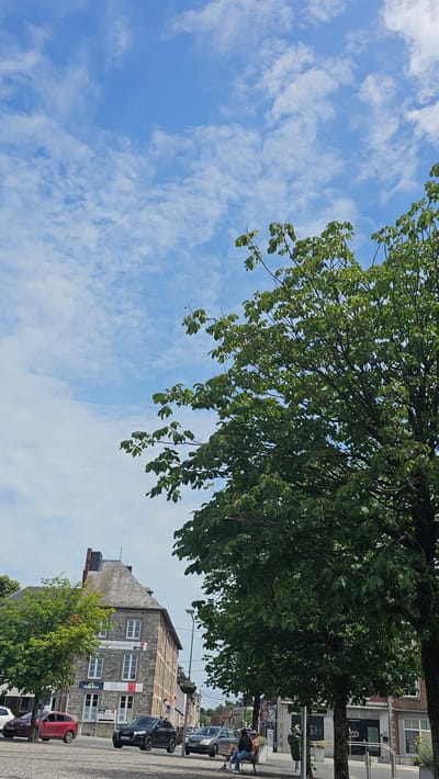 The image shows a street scene in Philippeville, Belgium. A large tree with green foliage dominates the right side of the frame, partially obscuring a cloudy blue sky. In the background, a multi-story stone building with gray roofing features several windows and signage, including "COHESION SOCIALE" and "METSEM". Several cars are parked and driving on the street, including a red hatchback, a black SUV, and a silver station wagon. Two people are seated on a bench to the right of the frame. The street is paved with cobblestones.
