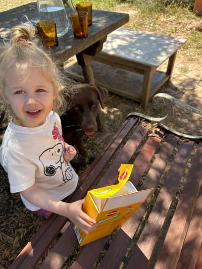 A young blonde Caucasian girl with blue eyes is smiling and holding an open yellow box of dog treats. She is wearing a white t-shirt with a Snoopy graphic and a necklace. Behind her, a brown Labrador Retriever dog is looking at the camera. They are sitting on a wooden bench outdoors, with fallen leaves scattered on it. In the background, a rustic wooden table with a glass pitcher and amber glasses is visible, along with a smaller wooden table with a light-colored top. The ground is covered in dirt and dry grass, suggesting a sunny outdoor setting. The scene appears to be in a garden or patio area.