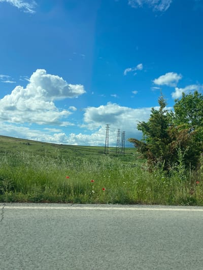 Bolyarovo, Bulgaria: An asphalt road occupies the right of the frame, adjacent to a grassy verge dotted with wildflowers, including red poppies. Beyond the verge, a gently sloping field rises towards power lines against a backdrop of a partly cloudy blue sky. A tree is visible on the right. The scene depicts a rural landscape.