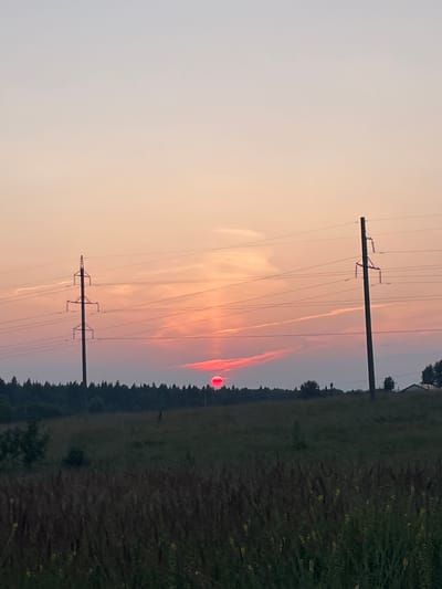 A vertical, medium shot photograph captures a sunset scene with power lines stretching across a field. In the foreground, a field of tall, dry grass is visible, with some yellow wildflowers interspersed. A dense line of trees forms a dark silhouette along the horizon, behind which a few buildings and trees can be seen. Two tall metal power line towers stand in the middle ground, supporting multiple wires. The sky is a gradient of soft pink and peach hues, with wispy clouds. The sun, a bright red orb, is partially obscured by the horizon and appears to be sinking behind the treeline. The overall impression is one of a rural landscape at dusk. The image is identified as being taken in the city of Badashka, Russia.