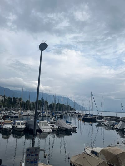 The image presents a detailed view of the marina at La Tour-de-Peilz, situated on Lake Geneva, Switzerland, under an overcast sky. The foreground is dominated by a tall, dark street lamp, centrally positioned, featuring anti-perching spikes at its top. Below and to the left of the lamp, a white informational sign displaying blue diagrams is partially visible. The calm, grey waters of the marina are occupied by numerous moored vessels, predominantly sailboats with visible masts, alongside several smaller motorboats. Many of these boats are covered with protective tarpaulins of varying colors. The water surface clearly reflects the boat masts and the cloudy sky. The midground reveals the shoreline with more boats docked along a pier on the right. In the distant background, mountains are visible, partially obscured by cloud cover. No individuals are present in the scene.