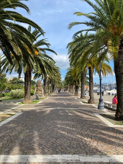 This image depicts the Passeggiata Morin in La Spezia, Italy, a wide pedestrian promenade lined with palm trees along the city's waterfront.
The scene is captured on a bright day under a light blue sky with scattered white clouds. The paved promenade, constructed from dark reddish-brown cobblestones arranged in fan-like patterns, extends into the distance, flanked by rows of mature palm trees with rough, textured trunks and green fronds, some displaying yellow-orange fruit clusters. Strong shadows from the palm trees are cast across the walkway.
To the left of the promenade, a narrow strip of green lawn and assorted shrubs, including long-leaved plants, separates the walkway from an elevated area featuring buildings and additional greenery. A cone-shaped, brown art installation or covered plant, supported by wooden scaffolding, stands near a palm tree on the left.
To the right, beyond the palm trees, lies a marina or harbor filled with various boats and yachts. A large white cruise ship is visible in the distant background on the water. A dark grey, ornate street lamp stands in the mid-ground. On a light-colored stone bench located on the right side of the promenade, a person wearing a pink top is seated, facing the harbor. Several indistinct figures are visible walking further down the promenade, primarily in the middle distance. Additional figures are vaguely discernible near the boats in the harbor.