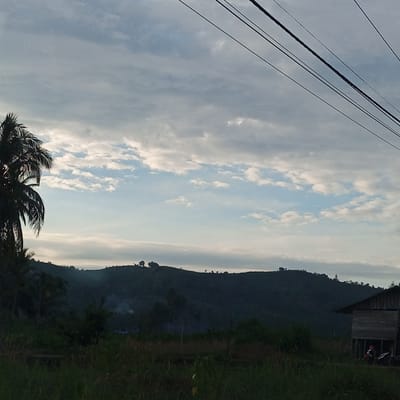 This image captures a landscape presumed to be in Uleejalan, Indonesia, under a partially overcast sky. The sky, occupying the upper two-thirds of the frame, displays a mosaic of greyish-white stratocumulus clouds interspersed with areas of lighter blue. In the upper right corner, several dark, parallel power lines traverse the frame diagonally downwards.

A prominent, dark-silhouetted palm tree with visible fronds occupies the left edge of the foreground and mid-ground. The horizon is marked by a dark, undulating line of hills or mountains, densely covered in vegetation, stretching across the central portion of the image. Small trees are visible silhouetted along the ridge of these hills.

In the mid-ground, a faint plume of light grey smoke emanates from the left-center, suggesting localized burning activity. A vague blue object, possibly a tarp, is discernible to the right of the smoke. On the right side of the image, a rustic, single-story wooden structure, likely a house or shed, with a dark roof and vertical wooden plank siding, is partially visible. Beneath this structure, a red and black motorcycle is parked, and a dark-clad individual is partially obscured standing near the motorcycle. The lower foreground is filled with dark, tall grass and various types of uncultivated foliage. The overall lighting suggests either early morning or late afternoon.