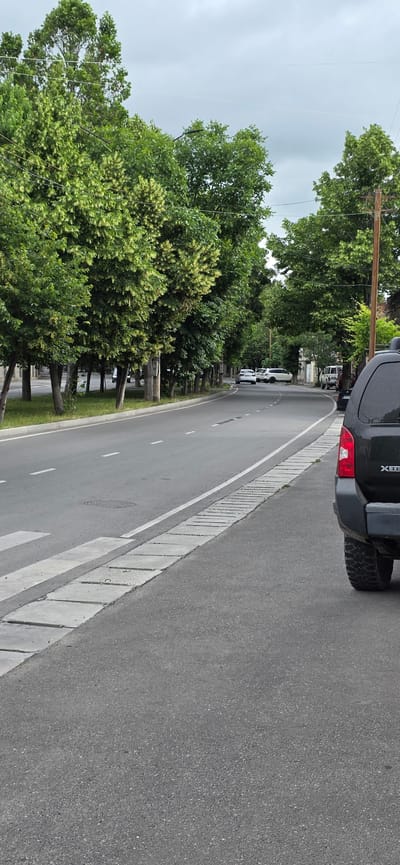 This image captures a street scene in the city of Gori, Georgia. The perspective is from ground level, looking down a tree-lined road. Tall, leafy trees with green foliage line both sides of the road, creating a canopy overhead in some sections. The road itself is asphalt, with distinct white lane markings. A pedestrian crossing is visible on the left side of the road, marked by white stripes and concrete slabs. A drainage grate is also present on the road.

To the right of the road, there is a concrete sidewalk or curb area, followed by more asphalt. Several vehicles are visible: a black SUV is parked on the right side of the road in the foreground, showing its rear bumper and tire. Further down the road, several other cars are driving or parked, including a white SUV and a white van. The sky is overcast with a grey, cloudy appearance. The overall environment suggests a temperate climate with ample greenery. There are no people clearly visible in the image. The scene appears to be a typical urban street with moderate traffic and well-maintained roadside landscaping.