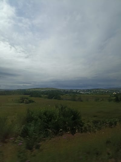 The image depicts a vast, undulating landscape under a dramatic, overcast sky. The foreground is dominated by a field of tall, green grass with scattered patches of darker shrubbery and the subtle hint of small purple flowers. In the mid-ground, a dense forest of dark green trees stretches across the horizon, punctuated by a small, dispersed settlement of buildings, likely houses, with white and yellow facades. Beyond the trees, rolling hills create a layered backdrop, their contours softened by the diffused light. The sky is filled with heavy, grey clouds, suggesting an impending storm or a recent downpour, with breaks of lighter sky visible towards the upper edges of the frame. The overall impression is one of natural beauty and a quiet, rural atmosphere. There is no visible text in the image. The time of day appears to be late afternoon or early evening, given the muted light and the quality of the shadows, if any. The location appears to be a rural area in Ireland, possibly near Rosses Business Park, characterized by its green fields, scattered settlements, and hilly terrain. The mood is somewhat somber due to the cloudy weather, yet peaceful and expansive.