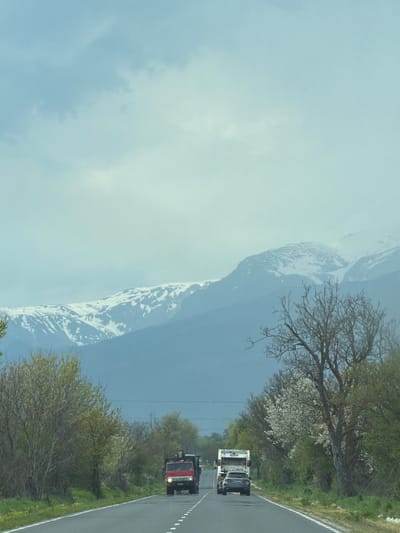 This landscape photograph, initially oriented vertically but depicting a horizontal scene, captures a road winding through a rural or mountainous area.
**Subjects:** The primary subjects are two trucks on a road, flanked by trees and vegetation, with a large snow-capped mountain range in the background under an overcast sky.
**Activity or Event:** Two trucks are seen driving along the road, heading away from the viewer. The lead truck is white, followed by a red one. There is no specific event beyond general travel.
**Notable Details:**
* **Road:** The asphalt road curves gently from the bottom right towards the top left, with a white dashed line visible along its right edge.
* **Vehicles:** The two trucks appear to be utilitarian, possibly older models, with distinctive cab designs. No branding or specific text is visible on them.
* **Vegetation:** The roadside is lined with trees and green grass. Some trees are bare-branched, while others are blossoming with white flowers or displaying fresh green leaves, suggesting a spring setting.
* **Mountain:** A prominent, sprawling mountain range covered in snow dominates the left side of the background. Its peaks are partially obscured by atmospheric haze or clouds.
* **Sky:** The sky is largely overcast, a uniform light blue-grey, indicating a cloudy day without direct sunlight.
* **Time of Day:** Daytime, likely morning or afternoon, given the ambient light.
* **Location Cues:** The combination of snow-capped mountains and lush, blossoming trees suggests a high-altitude region during springtime. The location context of Dolno Sahrane, Bulgaria, aligns with the scenic portrayal of a mountainous area, likely near the Balkan Mountains.
The image conveys a sense of passage through a serene, rugged landscape under a soft, cloudy light.