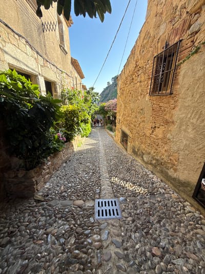 The image shows a narrow, cobblestone street in Tossa de Mar, Spain, lined with ancient stone buildings. Green foliage and pink flowers spill over stone walls along the left side of the street. A metal grate is visible in the center of the cobblestone path. In the distance, a group of people walk away from the camera, heading towards a tree-lined incline. The sky is clear and blue.
